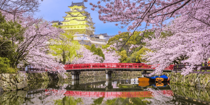 Spring in Japan